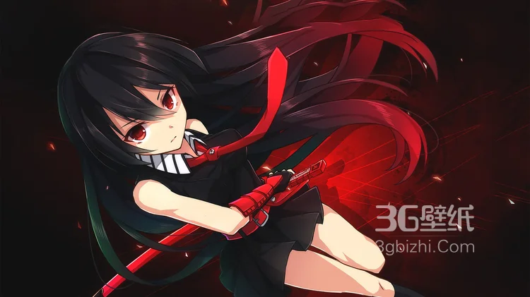 左手执剑右手拿枪的女动漫人物图片-套图5