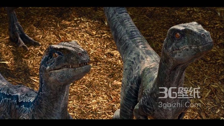 电影《侏罗纪公园》内的各类型恐龙图片4