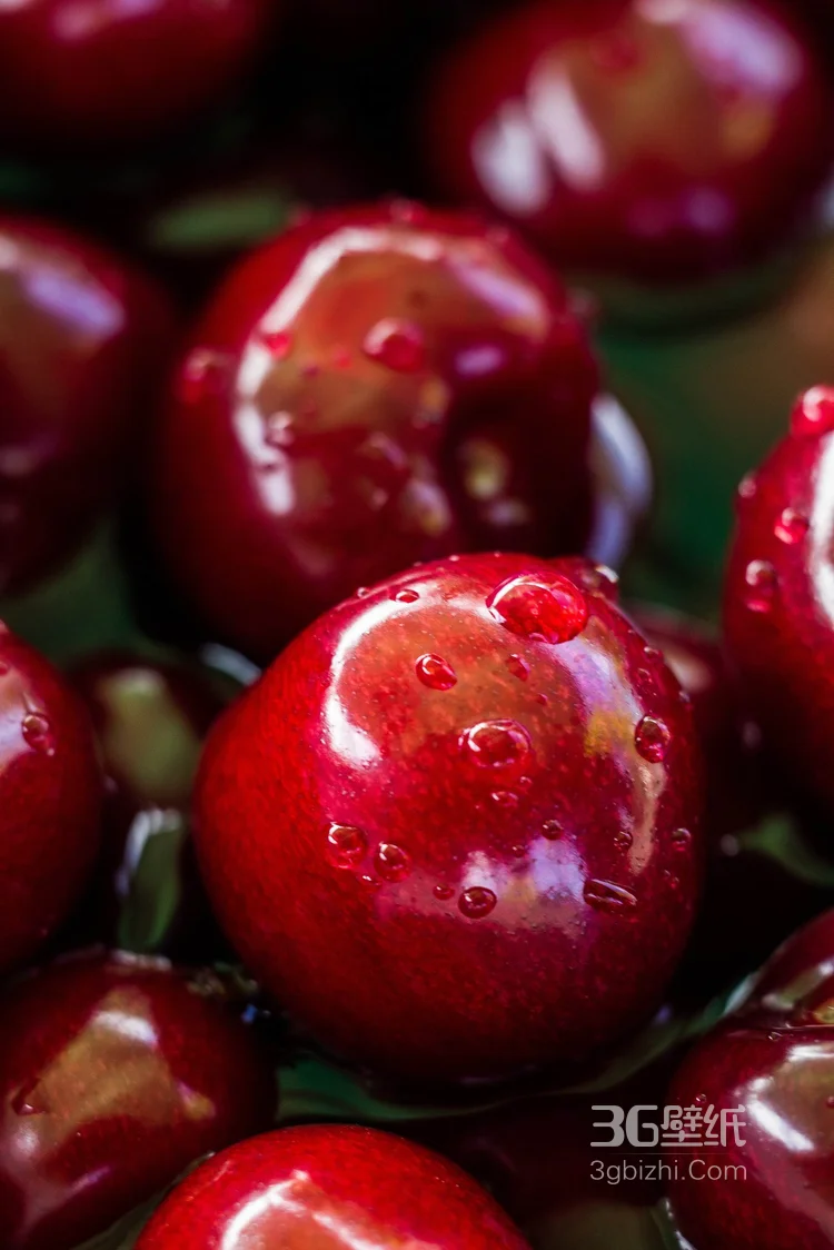 爽脆可口的水果“苹果”高清图片11