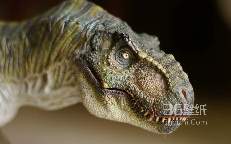 远古恐龙霸王龙，暴龙高清图片1