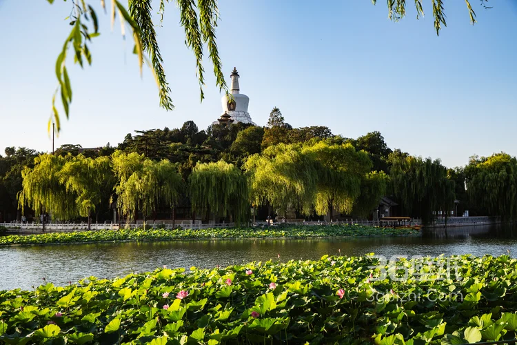 北海公园远眺故宫角楼好看漂亮大气景色图片5