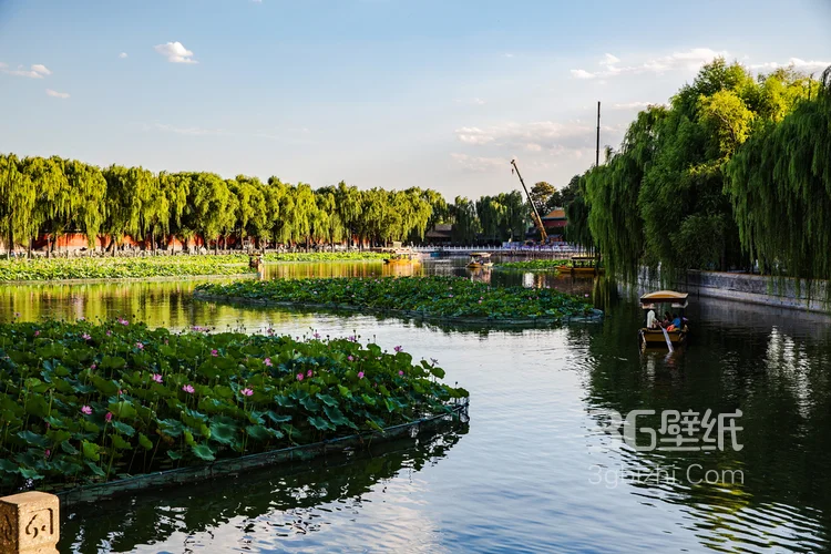 北海公园远眺故宫角楼好看漂亮大气景色图片3