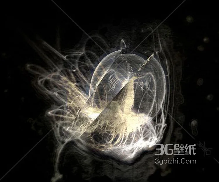 灯塔水母图片，寿命最长的生物灯塔水母水下图片3