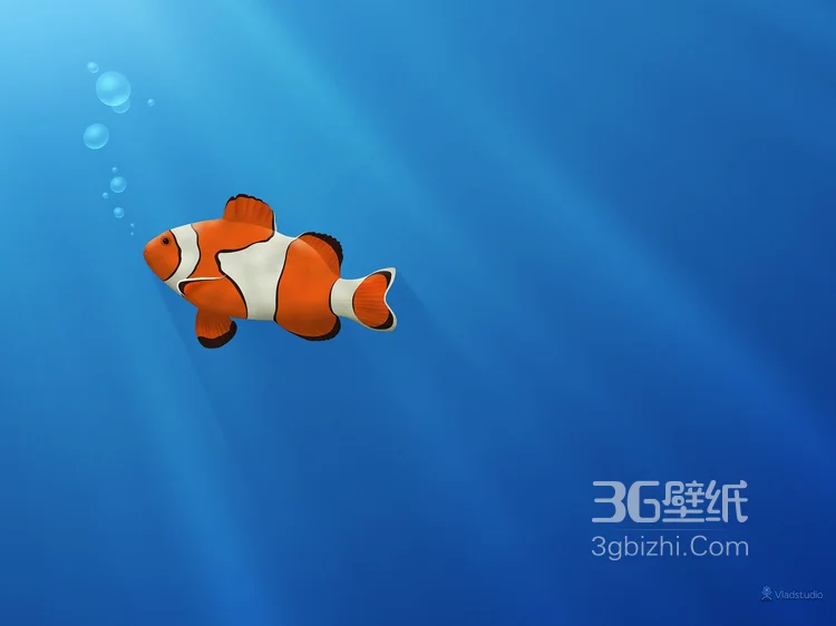 萌萌哒海底小演员“小丑鱼”图片10