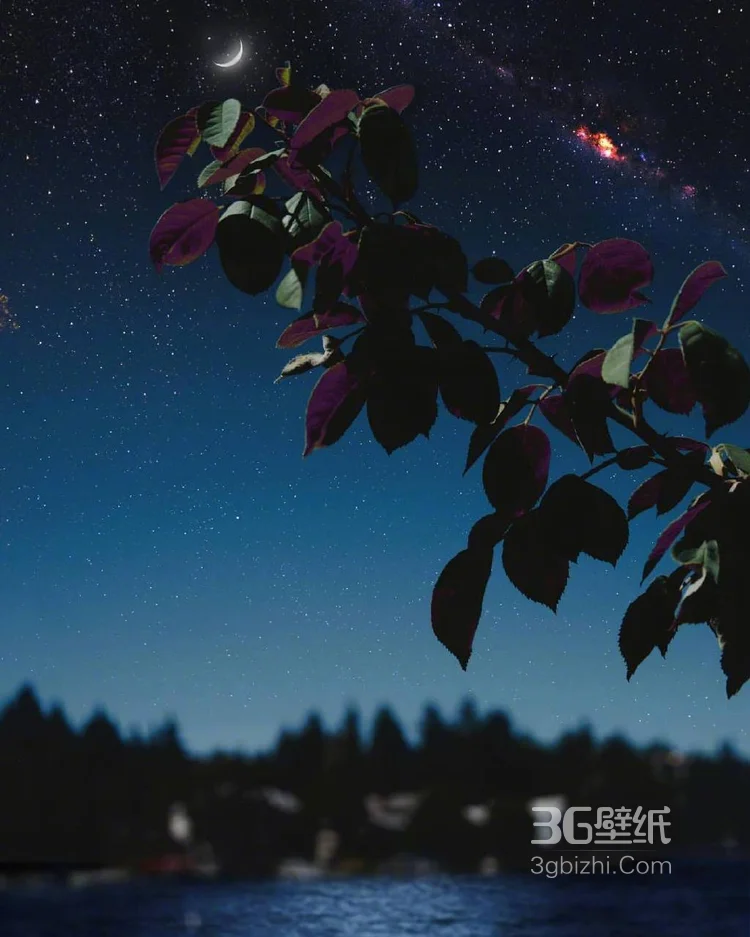 唯美的夜色，清风与月白唯美图片，就像温柔秋夜里的梦2