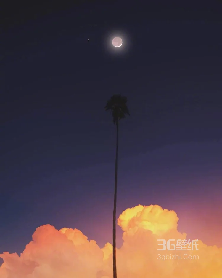 唯美的夜色，清风与月白唯美图片，就像温柔秋夜里的梦7