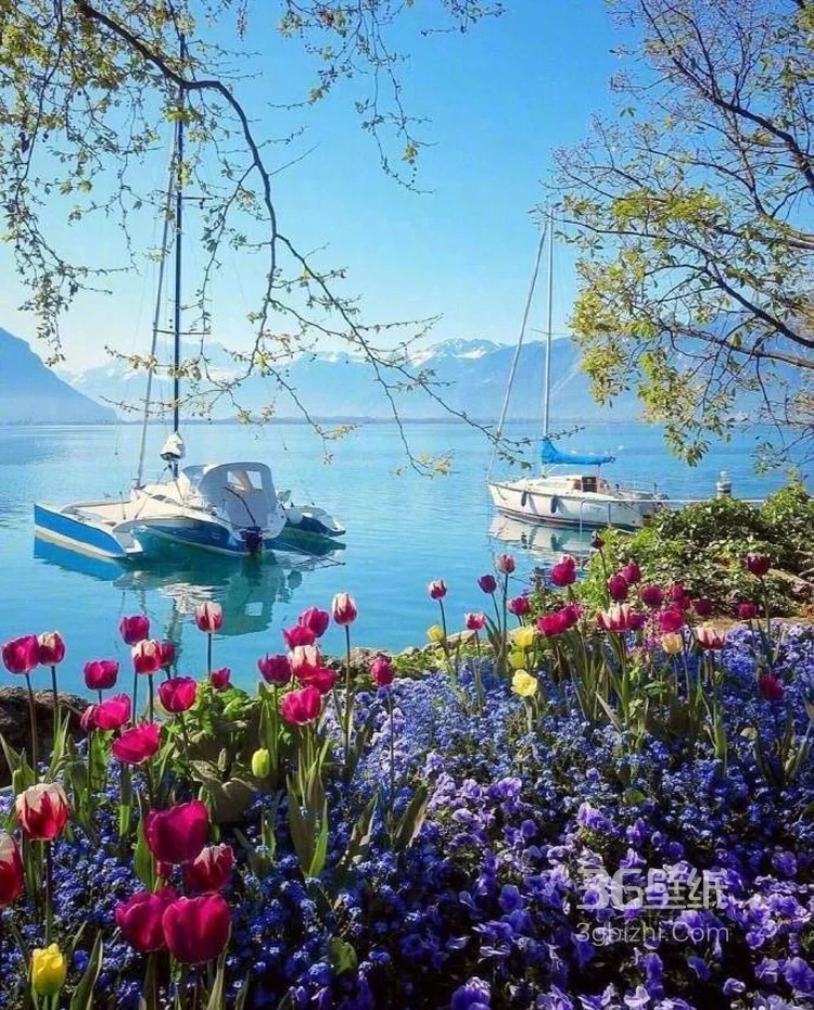 如画般的小镇风景，来自瑞士某小镇唯美景色美图欣赏5