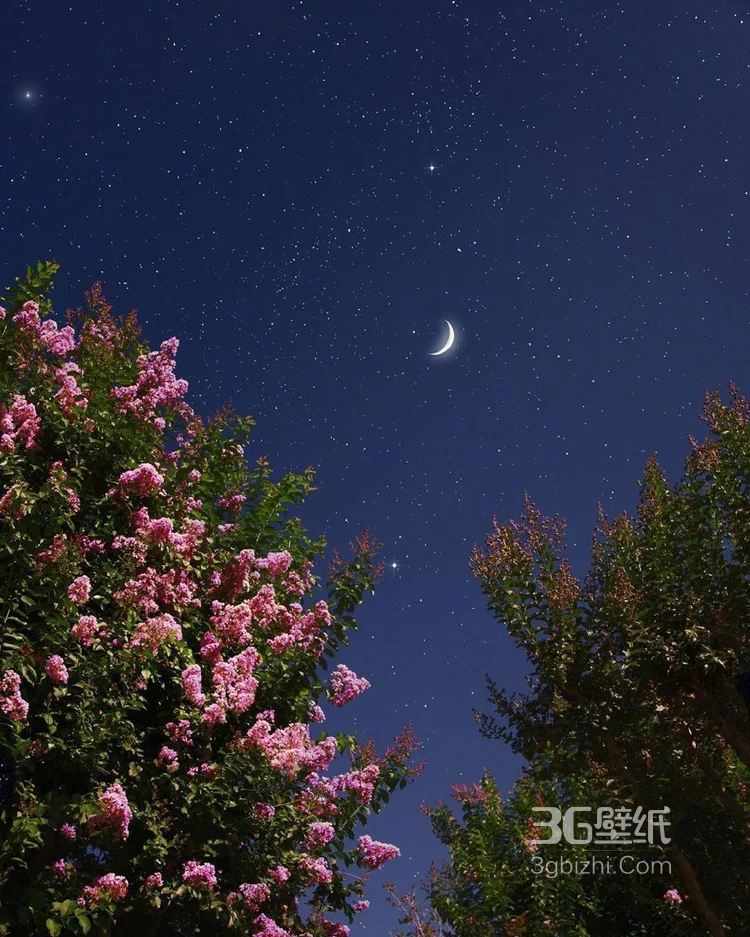 唯美的夜色，清风与月白唯美图片，就像温柔秋夜里的梦5