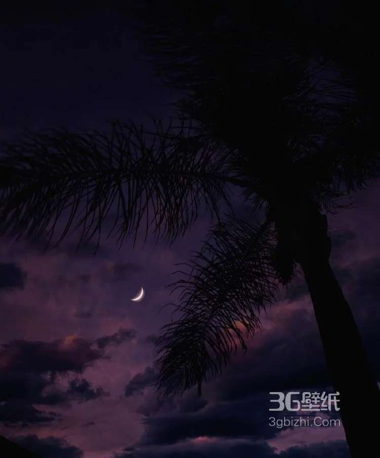 关于黑夜，夜晚的摄影美图，黑夜漫漫，但总值得等待2