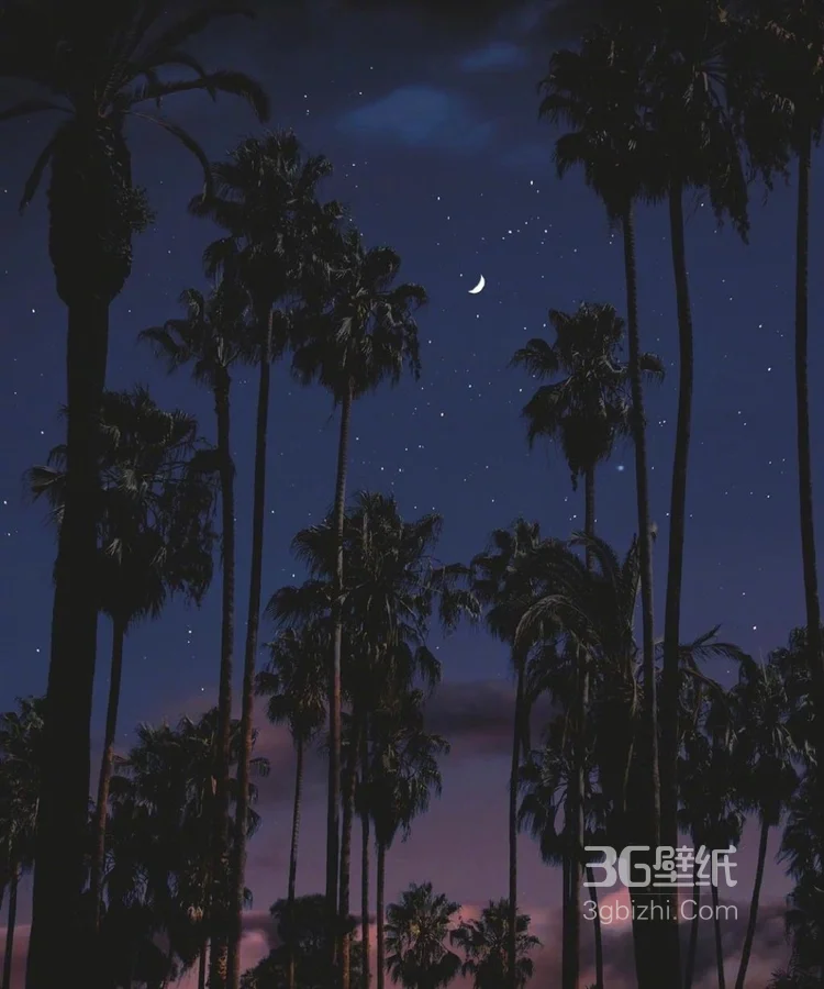 关于黑夜，夜晚的摄影美图，黑夜漫漫，但总值得等待5