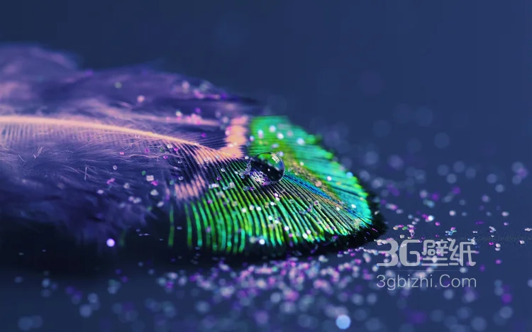 鸟类的选美冠军“孔雀”，开屏孔雀的一组高清图片10