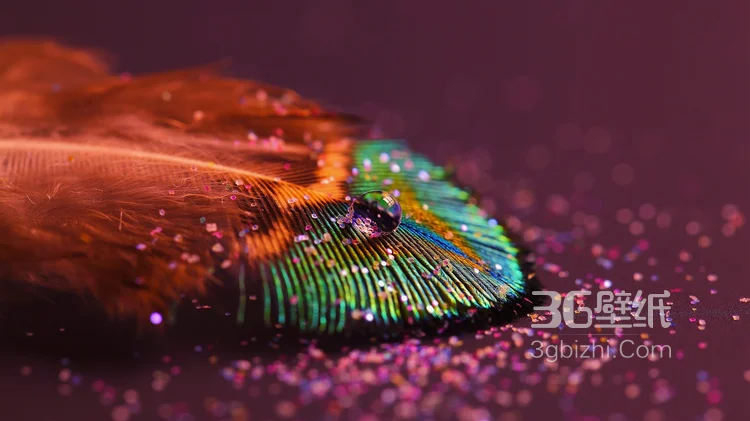 鸟类的选美冠军“孔雀”，开屏孔雀的一组高清图片4