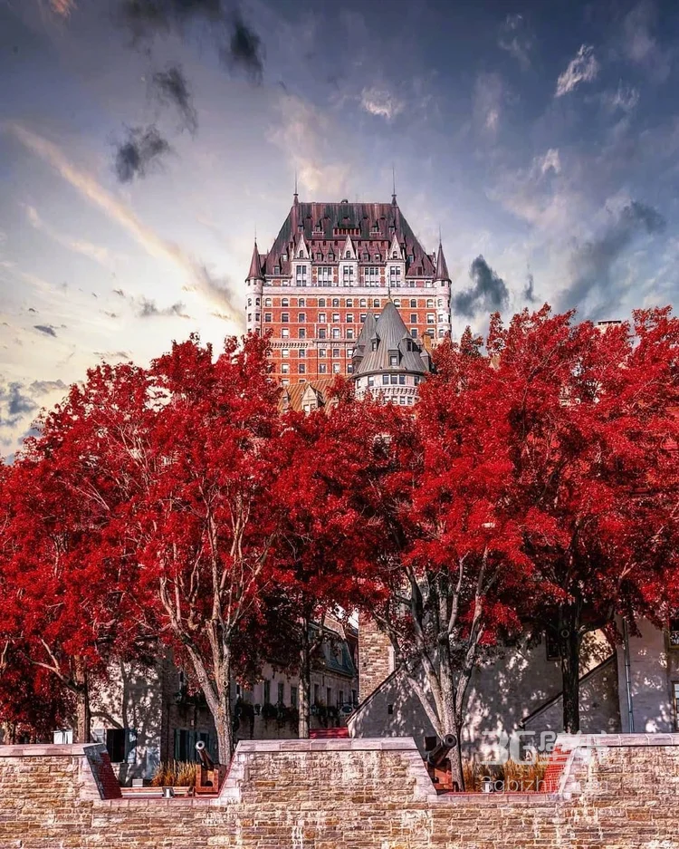 加拿大魁北克的秋日景色，入目皆是满眼的红色枫叶2