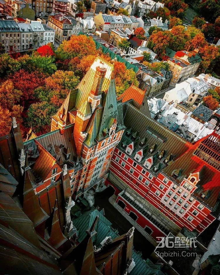 加拿大魁北克的秋日景色，入目皆是满眼的红色枫叶5