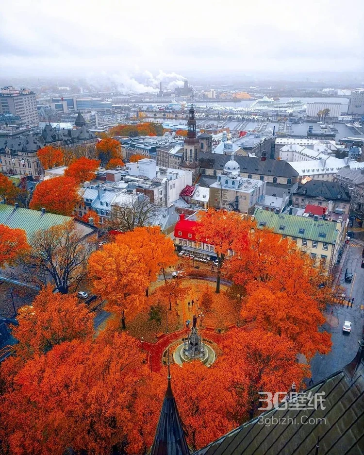 加拿大魁北克的秋日景色，入目皆是满眼的红色枫叶3