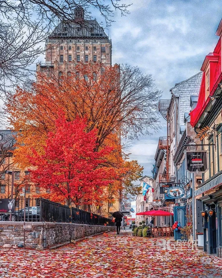 加拿大魁北克的秋日景色，入目皆是满眼的红色枫叶9