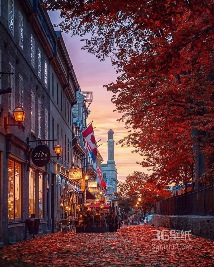 加拿大魁北克的秋日景色，入目皆是满眼的红色枫叶4