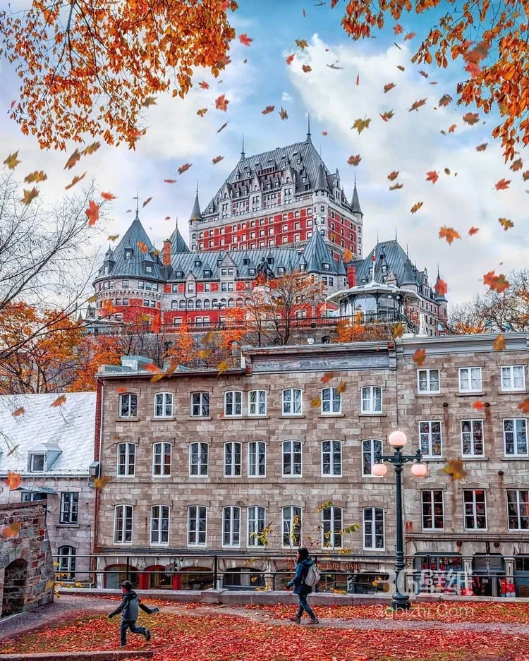 加拿大魁北克的秋日景色，入目皆是满眼的红色枫叶8