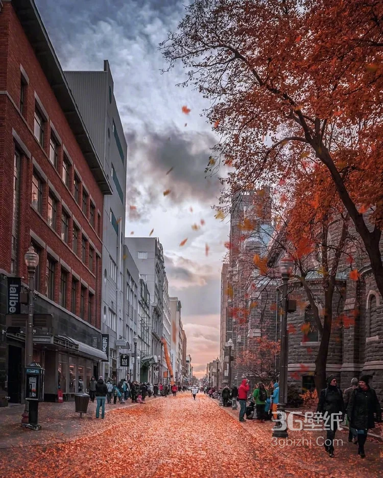 加拿大魁北克的秋日景色，入目皆是满眼的红色枫叶6