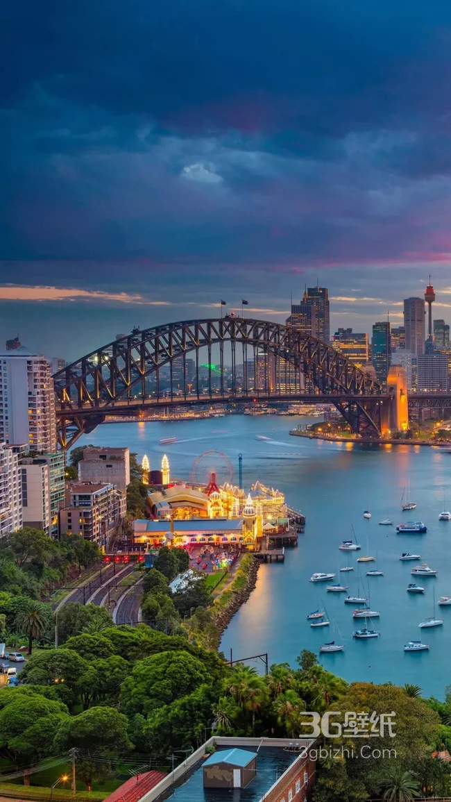 城市跨海大桥夜景灯光秀手机壁纸1
