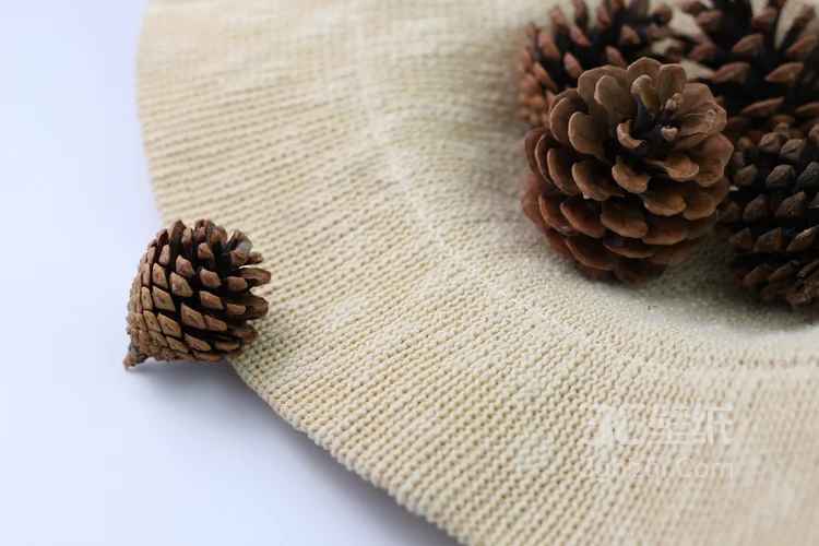 松子图片，松子摆拍图片，松子素材图片4