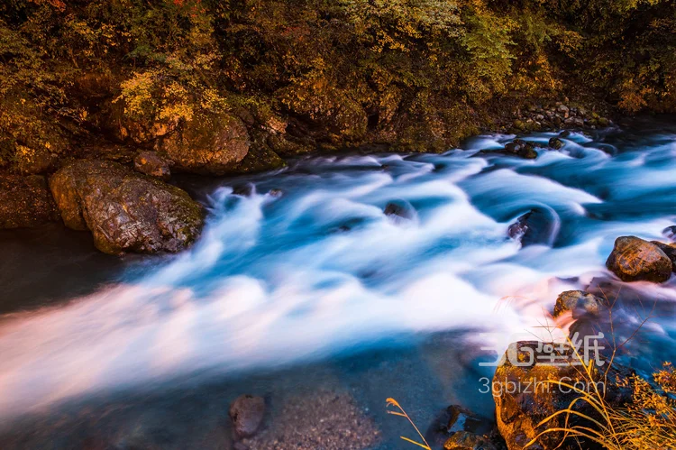 原始森林的小溪流图片，唯美，清新6