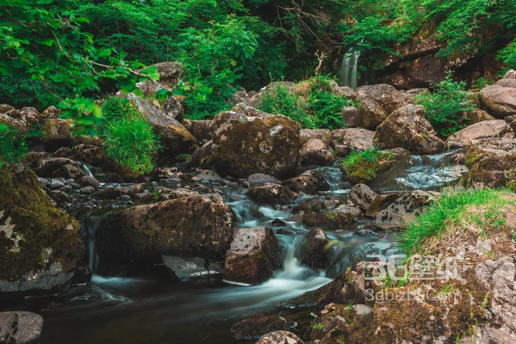 原始森林的小溪流图片，唯美，清新9