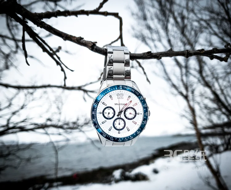 身份的象征手表的图片7