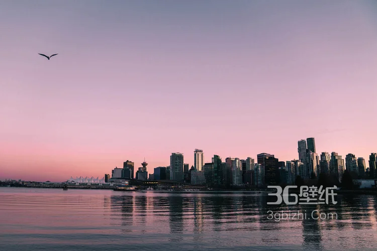 唯美的繁华城市风景图片14