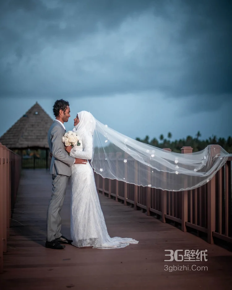 传统的印度男女和印度美景图片9