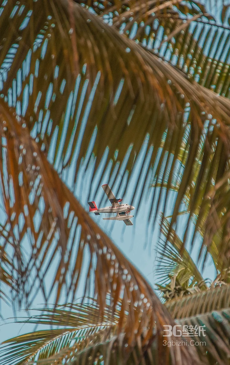 唯美的印度景色，印度洋的唯美摄影图片2