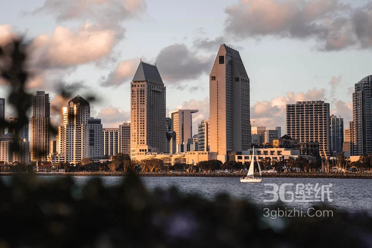 唯美的繁华城市风景图片12