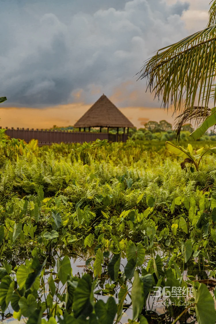 唯美的印度景色，印度洋的唯美摄影图片13