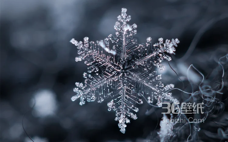 雪景图片，雪后山中各种美丽的景物图片7