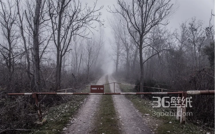 雪景图片，雪后山中各种美丽的景物图片4