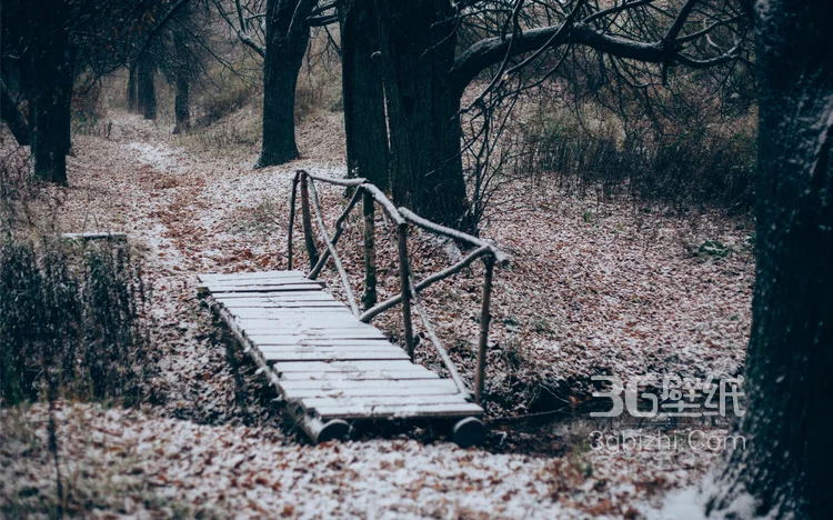 雪景图片，雪后山中各种美丽的景物图片5