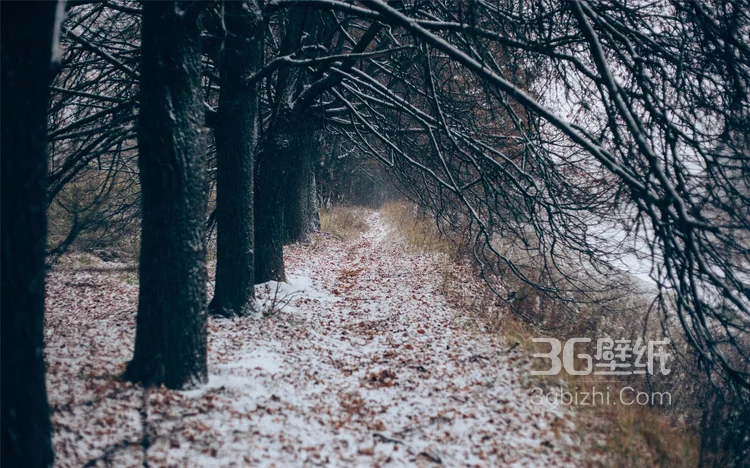 雪景图片，雪后山中各种美丽的景物图片2