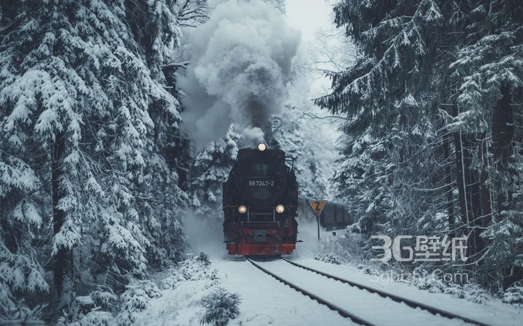 雪景图片，雪后山中各种美丽的景物图片6