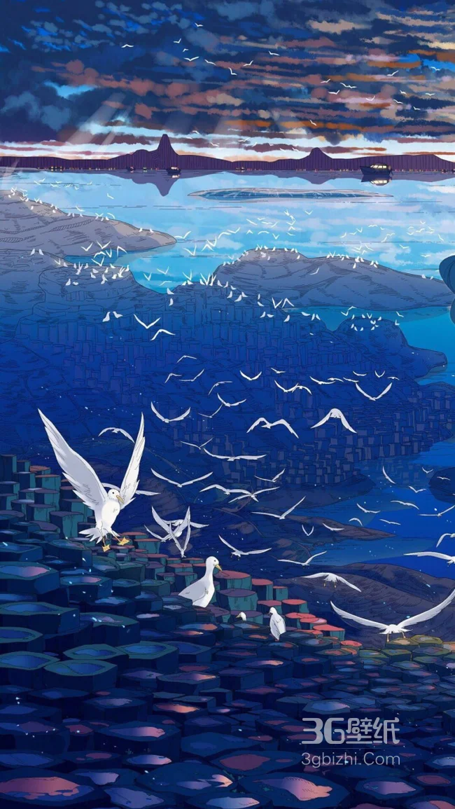 天空翱翔的海鸥创意手机壁纸1