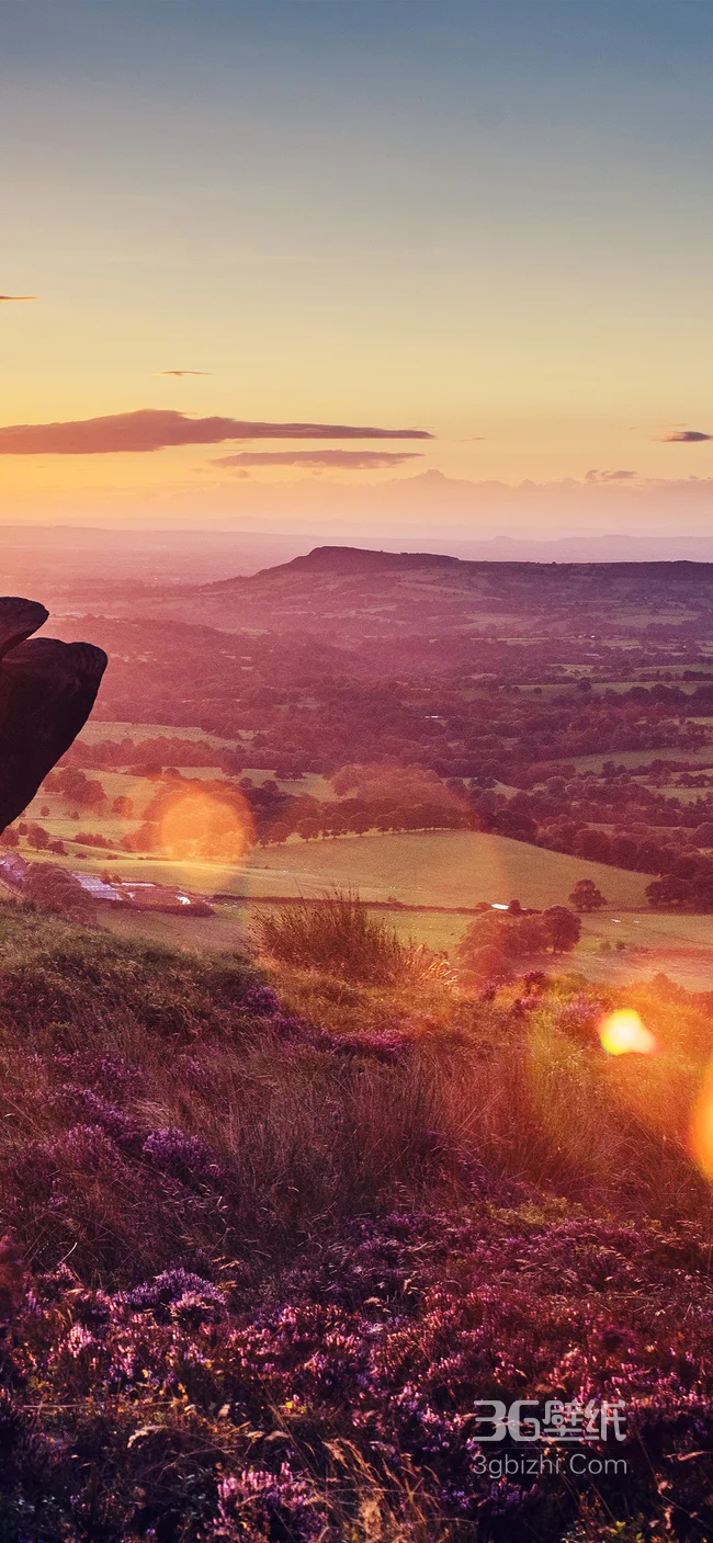 满山的紫色花草的唯美风景手机壁纸1