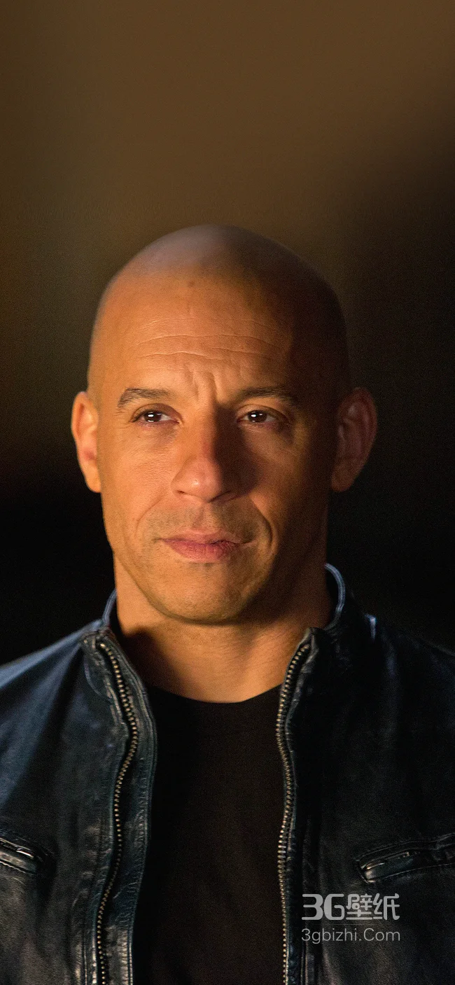 光头硬汉好莱坞动作巨星范·迪塞尔个人手机壁纸1
