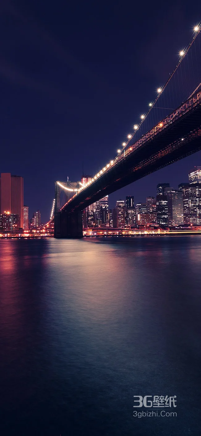 繁华城市的跨海大桥灯光夜景手机壁纸1