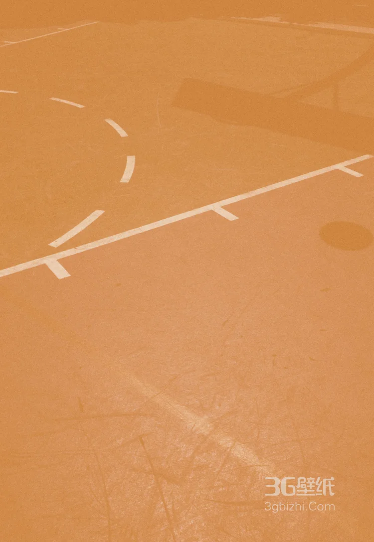 篮球场地板好看图片5