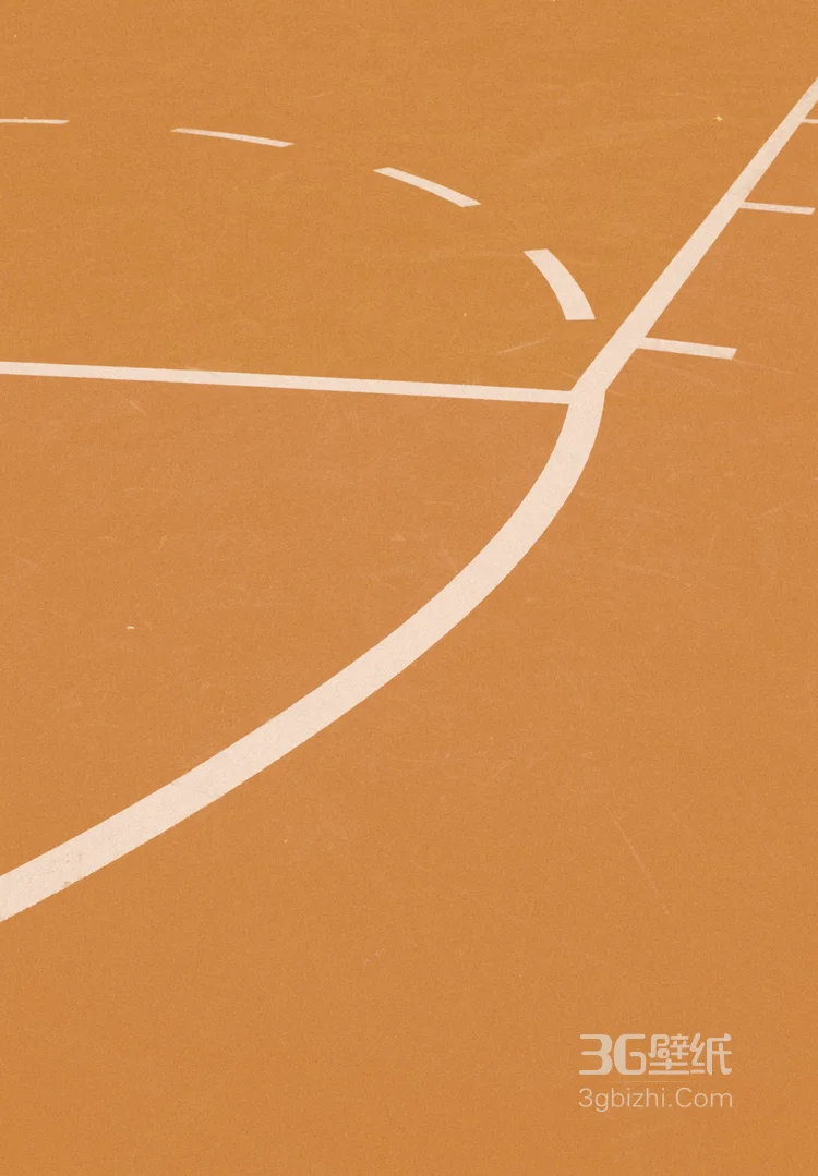 篮球场地板好看图片6