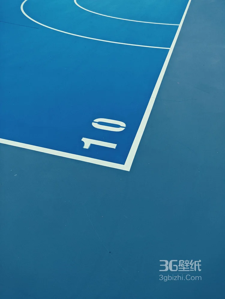 篮球场地板好看图片4