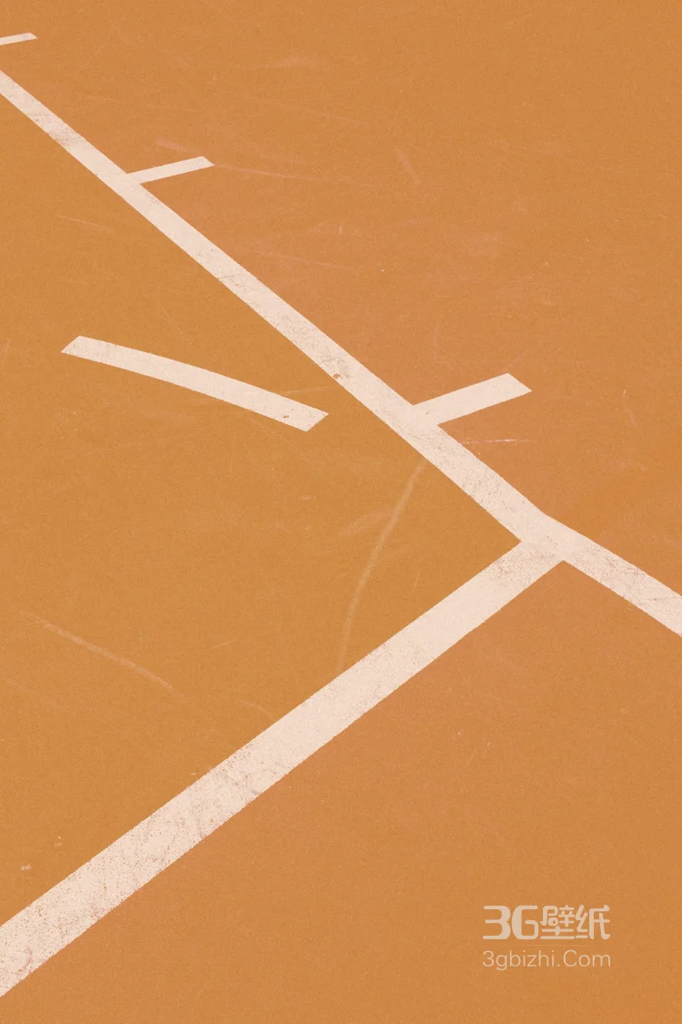 篮球场地板好看图片7