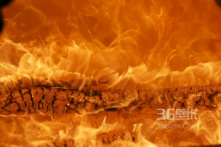 燃烧的火焰图片3