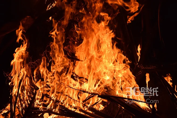 燃烧的火焰图片4