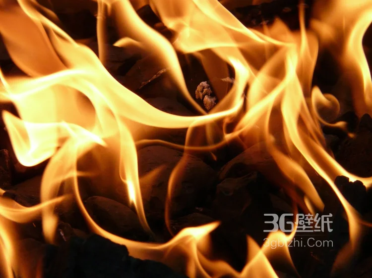 燃烧的火焰图片1