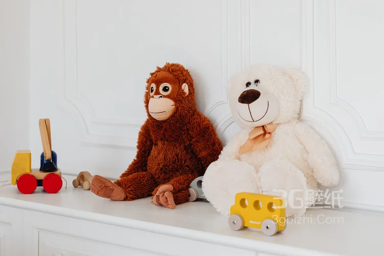 各种各样的可爱毛绒玩具熊，抱抱熊图片6